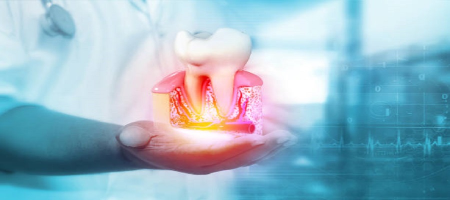 Dentist shows the human tooth on blurred background.